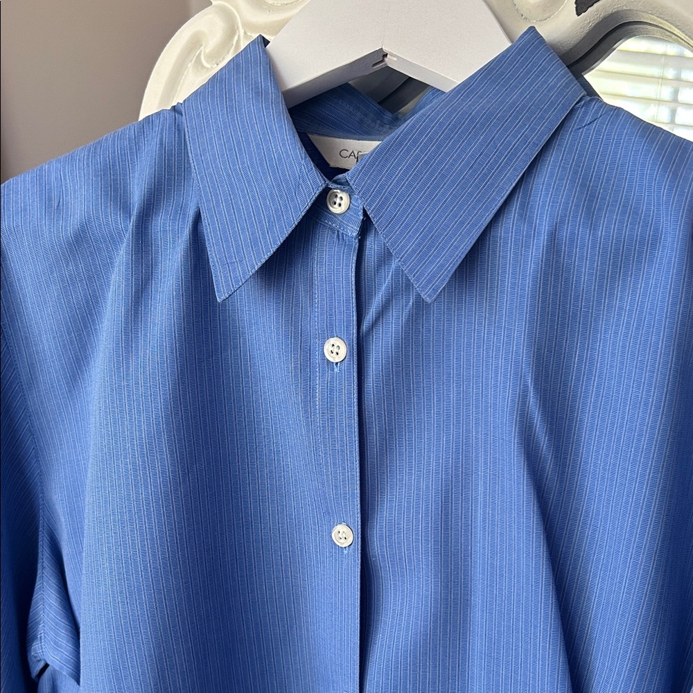 Casual Corner Blue Striped Shirt